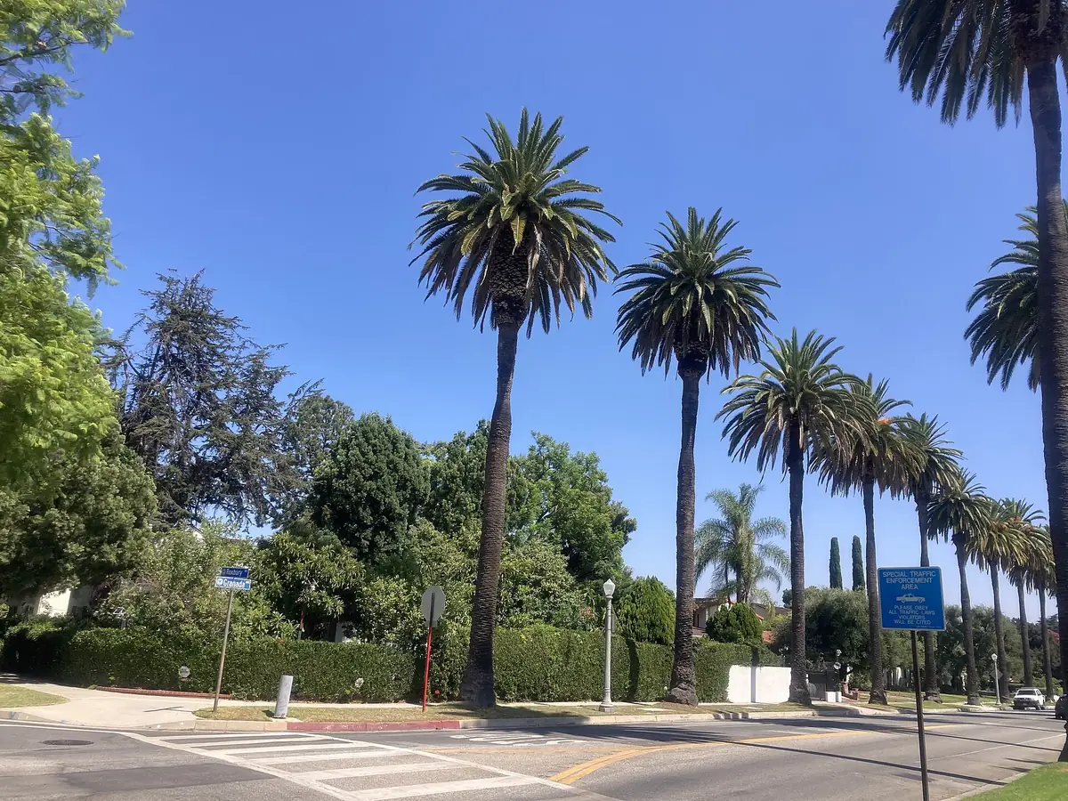 A wide avenue lined with tall palm trees and hedges under a clear blue sky in the San Gabriel Valley